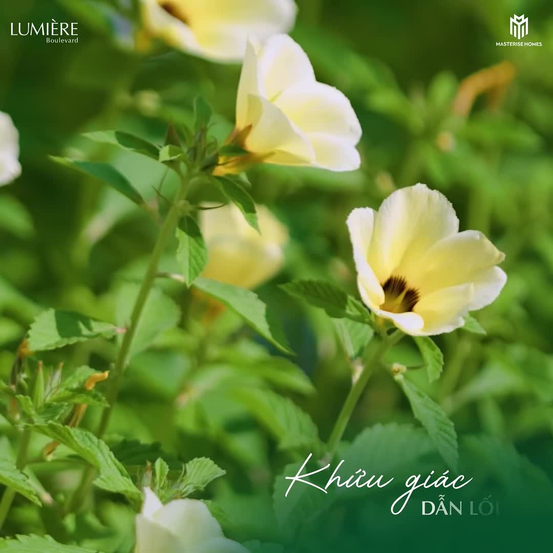 THIÊN NHIÊN VỖ VỀ 5 GIÁC QUAN TẠI LUMIÈRE BOULEVARD​